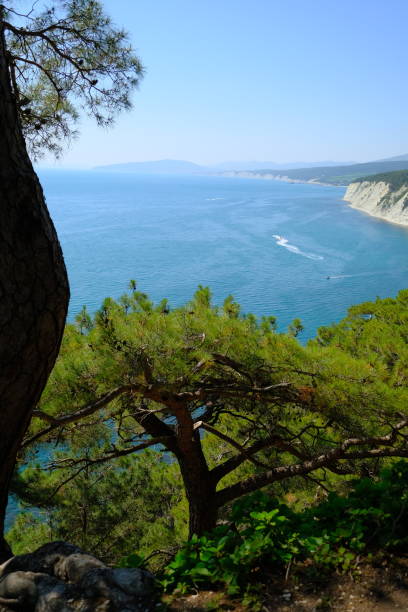istock hiking in the mountains, beautiful sea view 2181782827