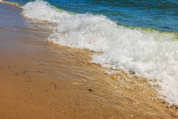 Close-Up of Sea Foam Gently Resting on Sandy Beach