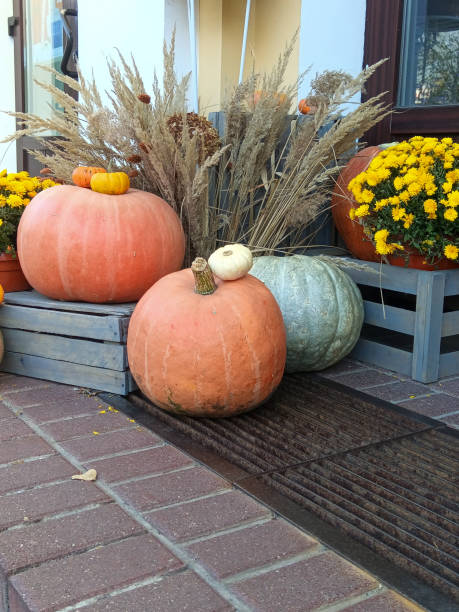 istock A composition of pumpkins and flowers before Halloween. 2181786975