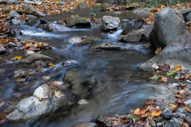 istock Autumn in the Carpathian Mountain. 2181790667