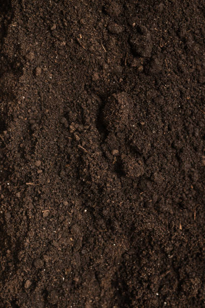 istock Black land for plant background. Top view. 2181791806