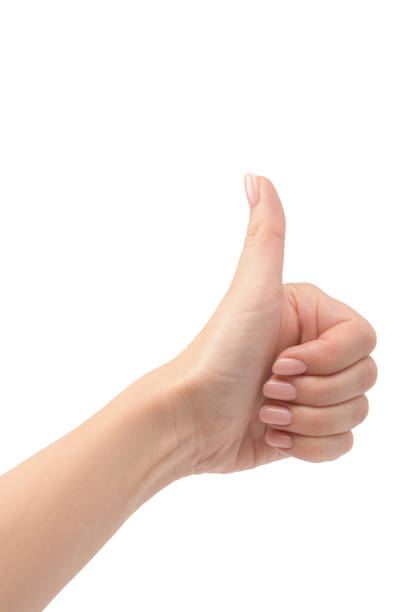 istock Woman hands with nude manicure isolated on a white background. 2181791836