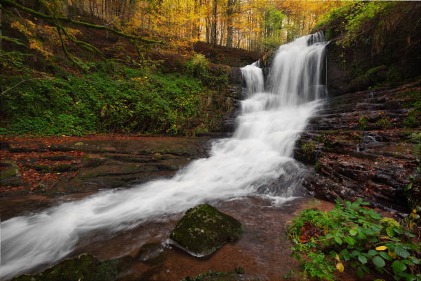 istock Autumn river and forest in Navarra, Spain 2181793172