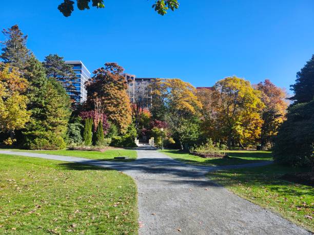 istock Garden painted in Fall hues 2181803343