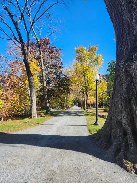 istock Garden painted in Fall hues 2181803370