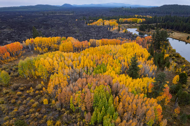 A view from a drone of fall foliage on the Deschutes River near Dillon Falls in Central Oregon just south of Bend