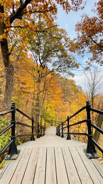 istock Indian summer at Montreal 2181813571