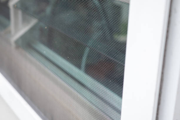 istock mosquito net wire screen on house window protection against insect 2181814455