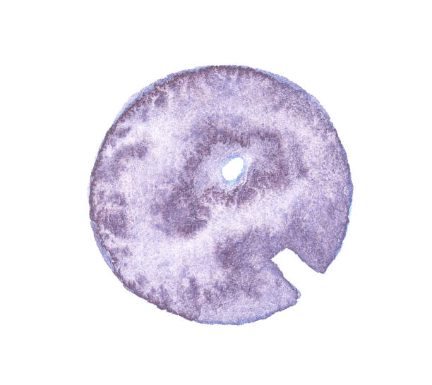 Purple watercolor texture circular abstract with organic design and textured