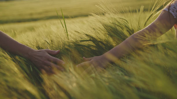 istock Mother and Child Bonding in Wheat Field 2181817729