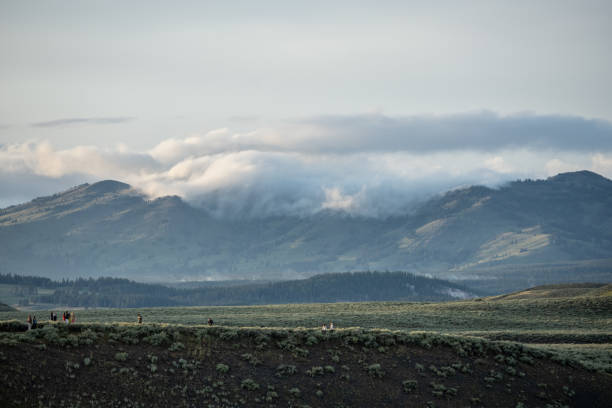 Bear Spotters Wander Into Field Below A Cloud Covered Mount Washburn Bear Spotters Wander Into Field Below A Cloud Covered Mount Washburn in Yellowstone National Park mud volcano yellowstone stock pictures, royalty-free photos & images