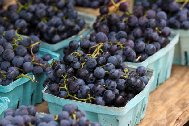 istock Farmers Market 2181830332