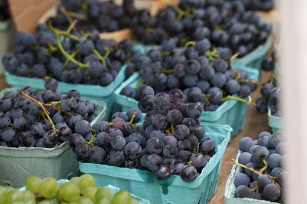 istock Farmers Market 2181830439