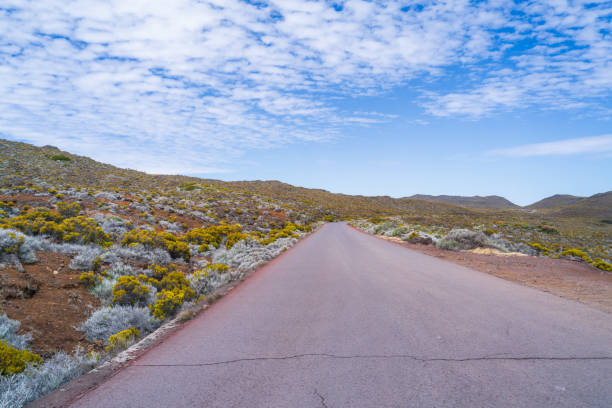 A solitary road winds through a volcanic landscape on Reunion Island. The road leads to the summit of Piton de la Fournaise, one of the world's most active volcanoes. Reunion Island, France.