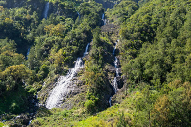 Multiple waterfalls cascade down a rocky cliff face, surrounded by lush rainforest. This is a popular hiking destination known as Bridal Veil Falls. Reunion Island, France.