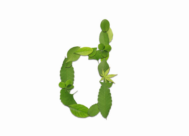 istock Roman letters drawn with leaves 2181836621