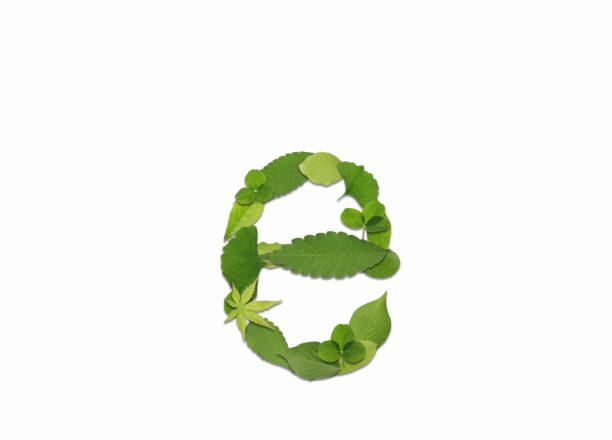 istock Roman letters drawn with leaves 2181836630