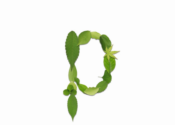 istock Roman letters drawn with leaves 2181836742