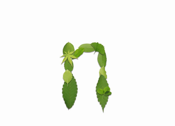istock Roman letters drawn with leaves 2181836769