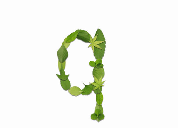 istock Roman letters drawn with leaves 2181836771