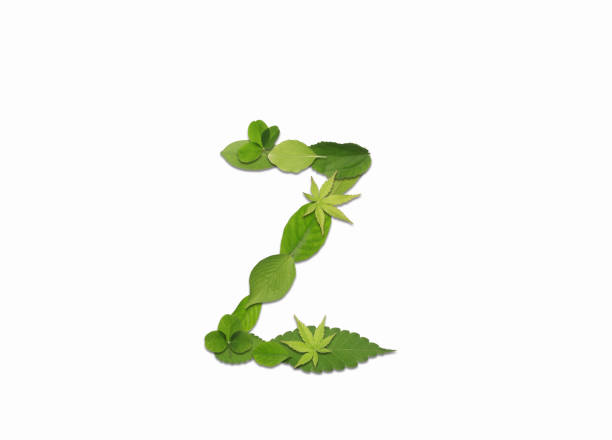 istock Roman letters drawn with leaves 2181837332