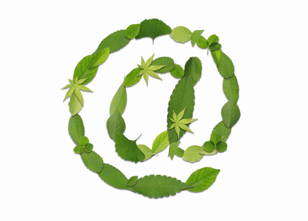 istock Symbols drawn with leaves 2181837899