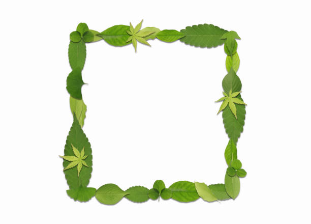 Symbols drawn using different kinds of refreshing green leaves. Can be used for various purposes, either alone or in combination.