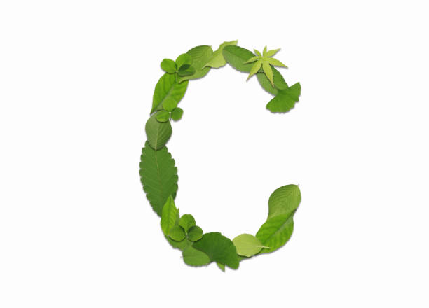 istock Roman letters drawn with leaves 2181838591