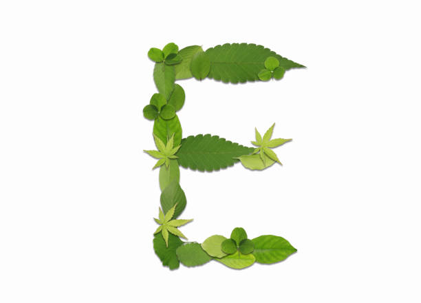 istock Roman letters drawn with leaves 2181838651