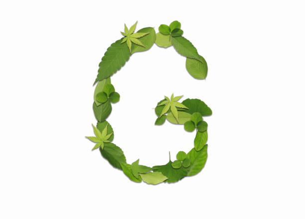 istock Roman letters drawn with leaves 2181838652