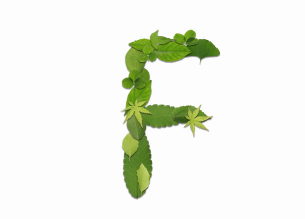 istock Roman letters drawn with leaves 2181838654