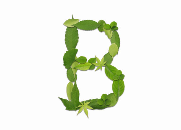 istock Roman letters drawn with leaves 2181838734