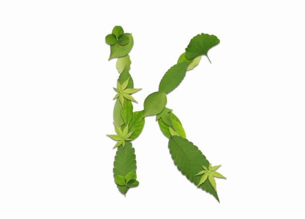 istock Roman letters drawn with leaves 2181838747