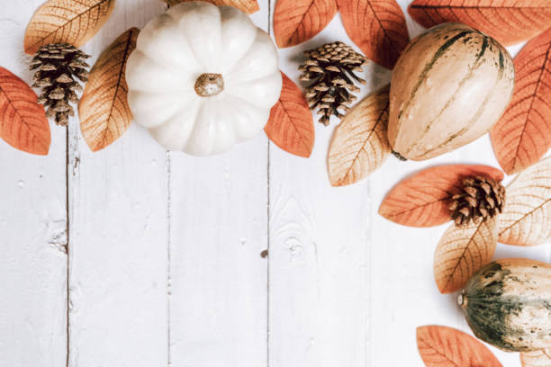 istock Squashes, cones and leaves on a white wooden table. 2181839551