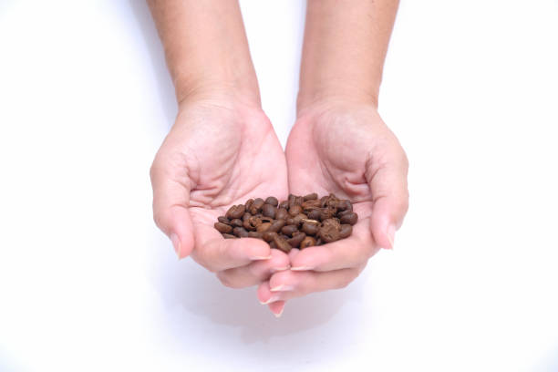 two hands showing a handful of newly roasted coffee beans two hands showing a handful of newly roasted coffee beans biji kopi stock pictures, royalty-free photos & images