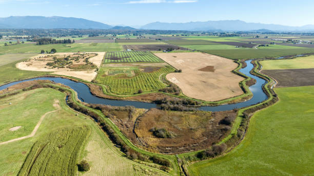 istock Wetlands along Samish Bay, Skagit County, Washington, USA 2181843558