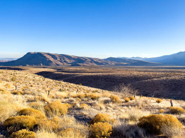 istock desert landscape in Nevada desert 2181847984