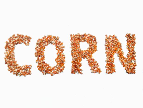istock Corn writing from pile of dry grain corn on white background 2181849161