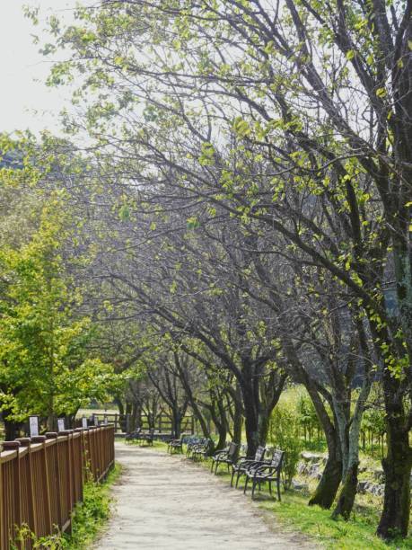 istock countryside life in South Korea 2181852370