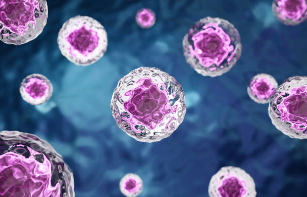 istock Research of stem cells. Stem cells under a microscope. Cellular Therapy 2181852883
