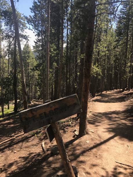 istock Mount Elbert Trail Sign Colorado Forest 2181853750
