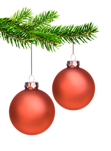 Red Christmas tree bauble on a fir branch