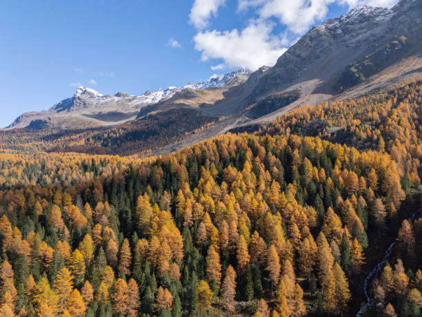 istock Autumn Forest Landscape with Snow-Capped Mountain Peaks 2181856304