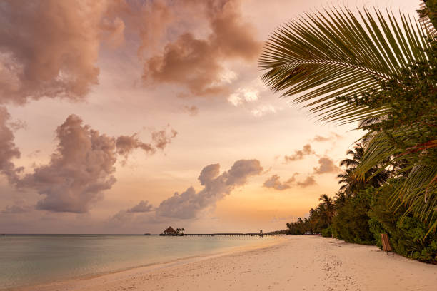 istock Exotic tropical paradise island with dramatic sky and clouds during the sunrise 2181856667
