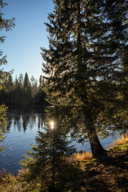 istock Sanginjoki river autumn sunshine scenery, Oulu Finland 2181859591