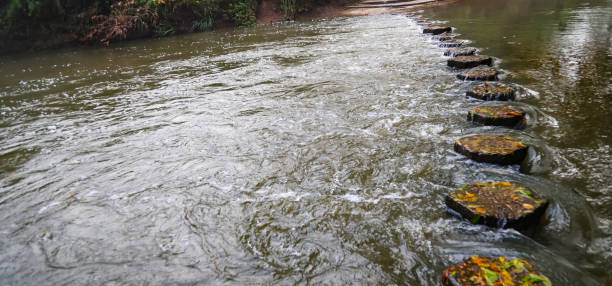 River Mole unique river crossing Surrey England Europe