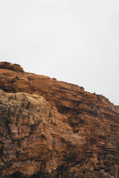 A close-up view of a rocky cliff face with a rough, textured surface. The rock is a mix of brown, orange, and gray colors.