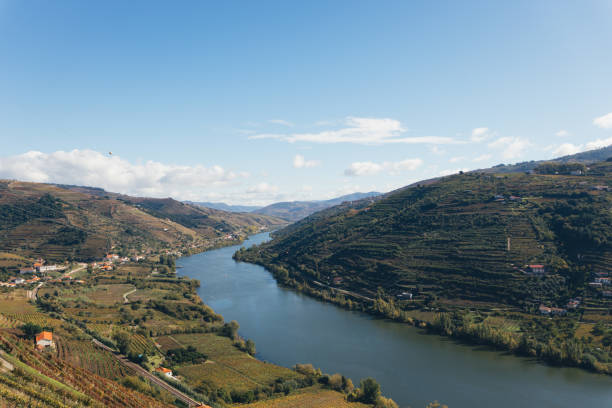 istock Douro Valley Vineyards and River 2181861622