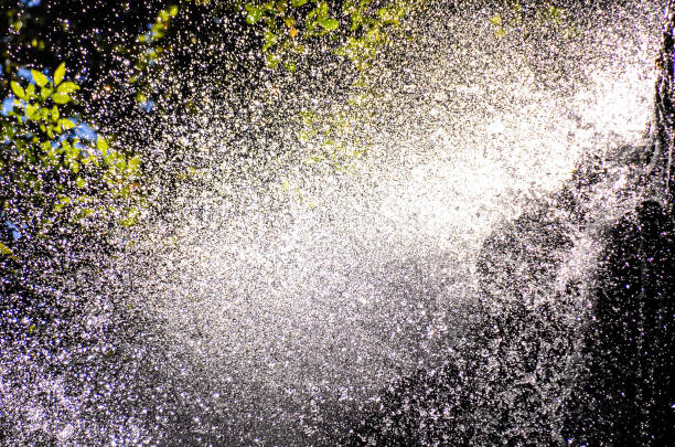 A spray of water is falling from the sky, creating a misty atmosphere. The water droplets are scattered throughout the image, giving it a dreamy and ethereal quality