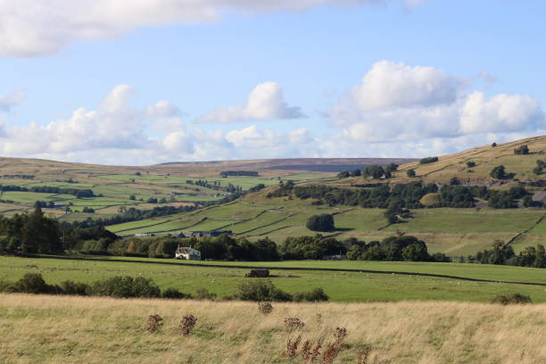 istock View over rolling Northumbrian countryside in summer 2181863476